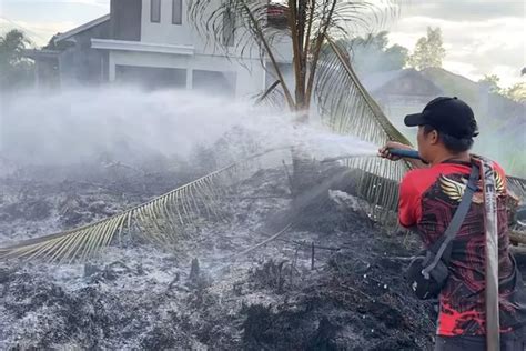 Karhutla Jadi Perhatian Nasional Kalimantan Jadi Yang Terpanas Di