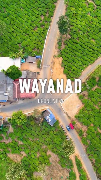 Wayanad Drone View ️ Gods Own Country 🌴 Kerala Shorts Youtube