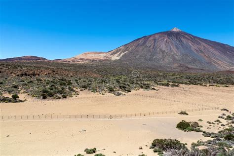 Teide Panorama Del Vulcano Pico Del Teide E Delle Isole Canarie Del