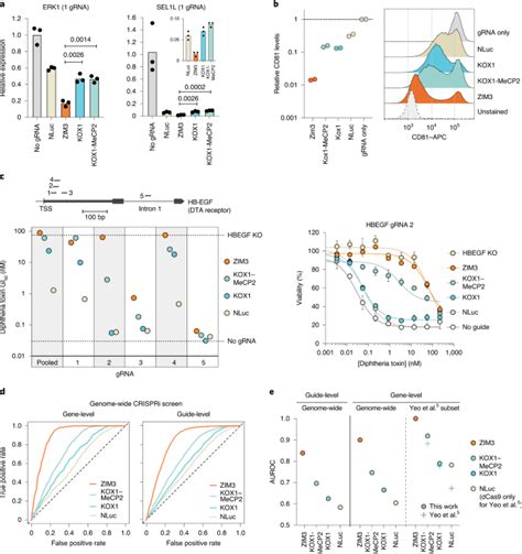 An Efficient Krab Domain For Crispri Applications In Human Cells