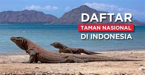 50+ Taman Nasional Indonesia, Ada yang Jadi Warisan Dunia!