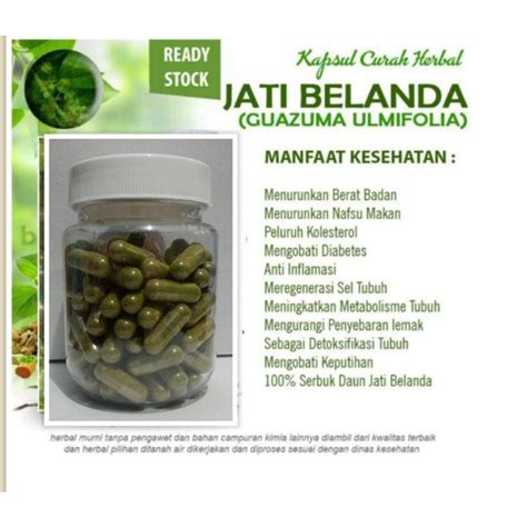 Jual Daun Jatibelanda Kapsul Curah Herbal Kemasan Botol Shopee