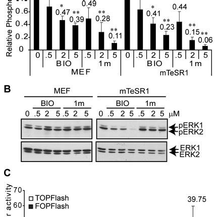 Treatment Of Hescs With Gsk Inhibitors Induces Differentiation