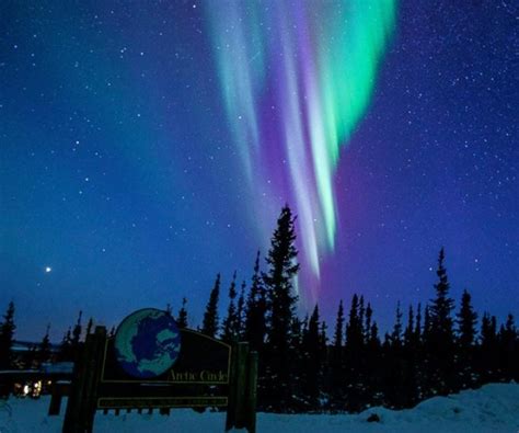 The Best Fairbanks Tours And Things To Do In 2023 Free Cancellation