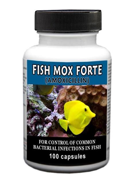 Fish Mox Forte 500mg 100 Ct Robert Zittel