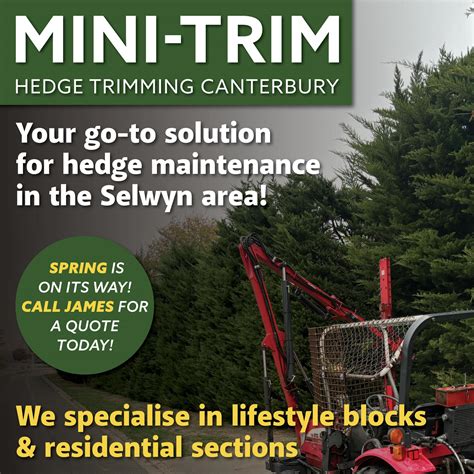 Mini-Trim Hedge Trimming
