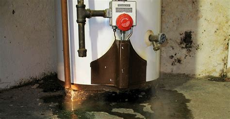 Water Heater Leaking? (HERE'S WHAT TO DO) | Water Heater Hub