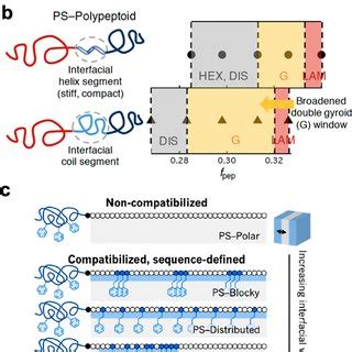 Spatial Patterning Is Influenced By Yet Distinct From Polymer