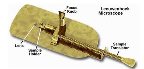 Qué inventó Anton van Leeuwenhoek Estudios de su vida e invención del