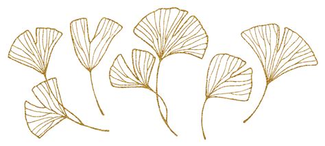 Golden Ginkgo Leaves Graphic Drawing Set Of Tropical Leaves With Gold