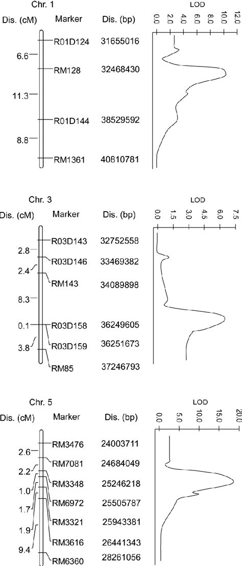 Figure 6 From Quantitative Trait Loci Mapping For Bacterial Blight