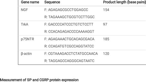 Primers used for real-time PCR | Download Scientific Diagram