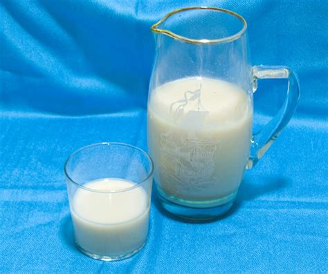 Recetas elegidas: Leche de avena