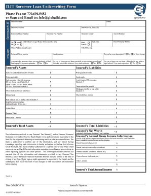 Fillable Online Ilit Borrower Loan Underwriting Form Fax Email Print