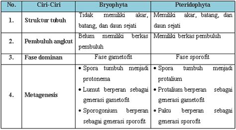 Perbedaan Tumbuhan Pteridophyta Dan Bryophyta Agro Blog Riset