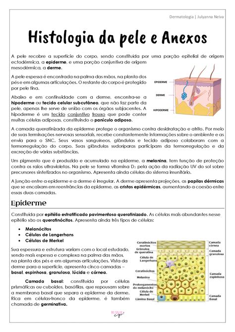 Histologia Da Pele E Anexos Resumos Histologia Docsity