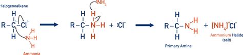 Producing Secondary And Tertiary Amines A Level Chemistrystudent