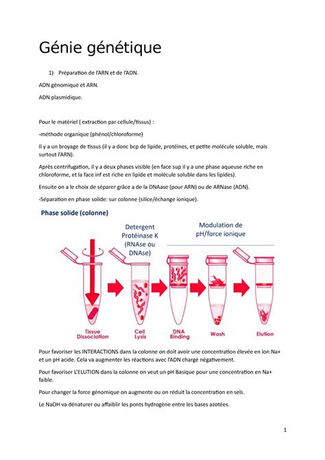 G Nie G N Tique Notes De Cm Genie G G Nie G N Tique Pr Paration De