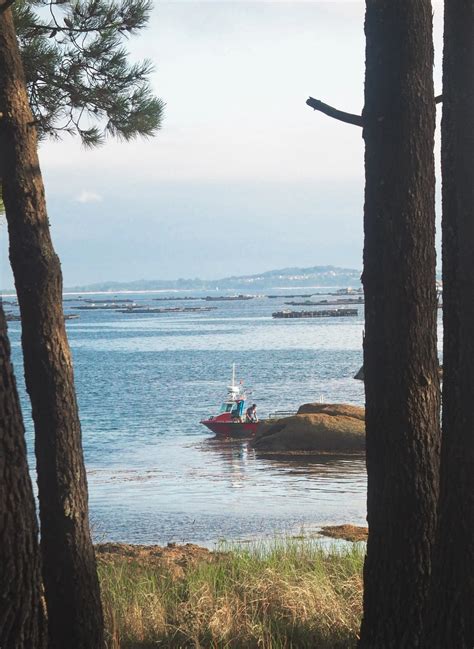 Naturwriting A Illa de Arosa allí donde se funden los azules de la ría