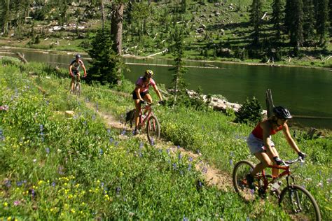 Yellowstone Auf Einer Spannenden Route Entdecken Canusa