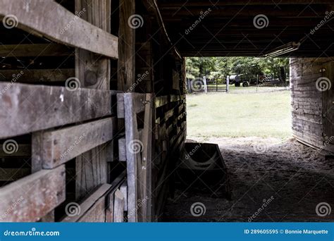 Interior of a horse barn. stock image. Image of view - 289605595