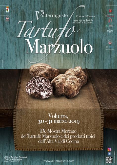 Mostra Mercato Del Tartufo Marzuolo Volterra