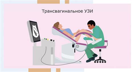 Гинекологическое УЗИ цена в Москве: сделать узи по гинекологии в ...