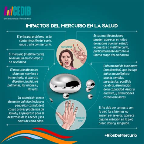 Ríos De Mercurio Impactos Del Mercurio En La Salud Cedib