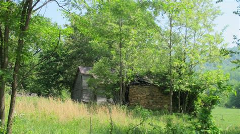 Jarrell Cemetery In Graves Mill Virginia Find A Grave Begraafplaats