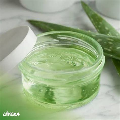 Jual 300gr Pure Aloe Vera Soothing Gel Perawatan Lidah Buaya Shopee Indonesia