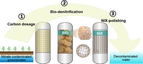 Resilient Nitrate Removal By A Biological Nitrate Selective Ion