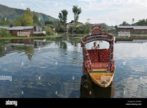 Srinagar, India, South Asia. Shikara, Shikara on Dal Lake Stock Photo ...