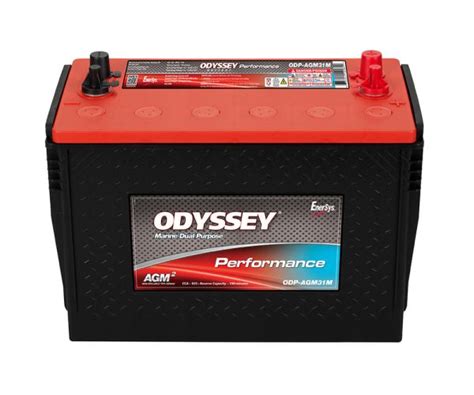 Buy Autotruck Marinerv And Heavy Dutycommercial Batteries Online