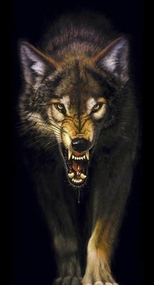 Snarling Wolf - Wolves Photo (15975099) - Fanpop