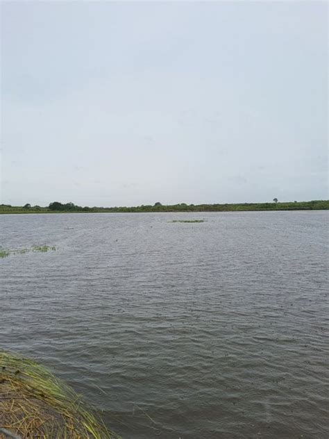 Fazenda Sítio em Centro em Vera Cruz por R 4 000 000 Viva Real