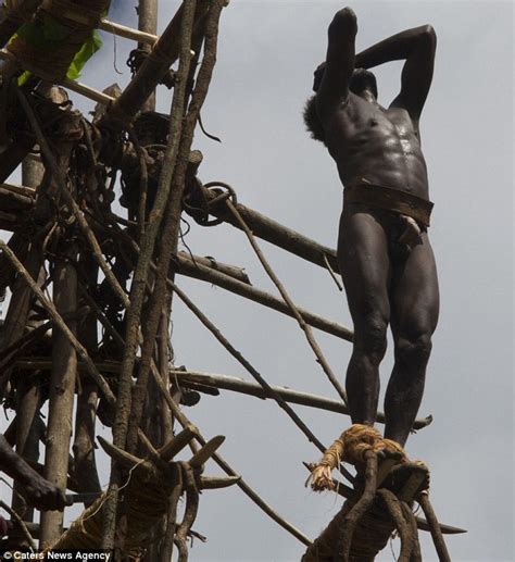 Pentecost Tribesman Indulge In Ancient Bungee Jumping Rite Of Passage Daily Mail Online