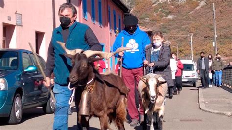 El Chivo De Vegacervera El Retorno Del Rey