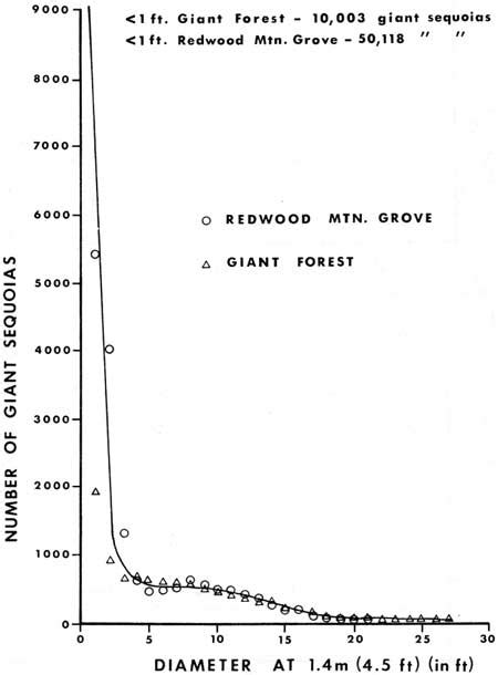 Giant Sequoia Ecology Chapter 5