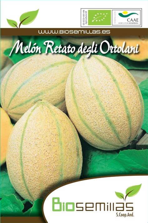 Melon Retato Biosemillas Almería Coop