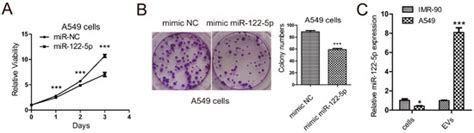 Ijms Free Full Text Hnrnpa2b1 Mediated Extracellular Vesicles