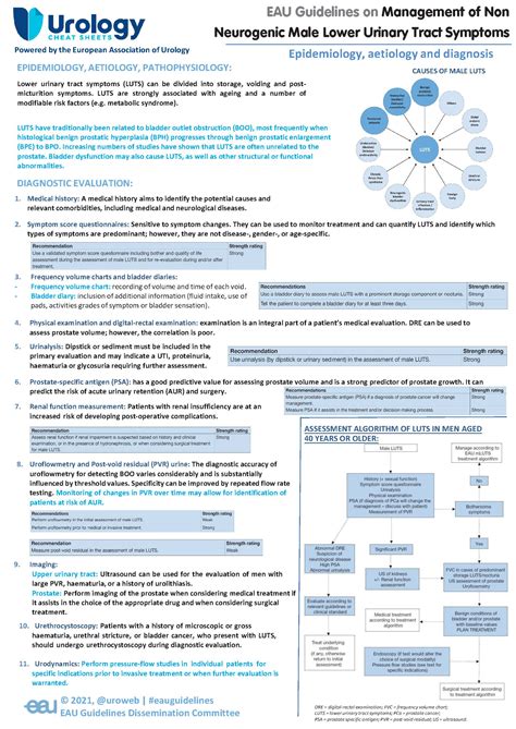 Eau Guidelines On Non Neurogenic Male Luts Urology Cheatsheets