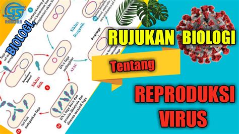 Rujukan Biologi Tentang Reproduksi Virus Gen Sukses Media Sumber