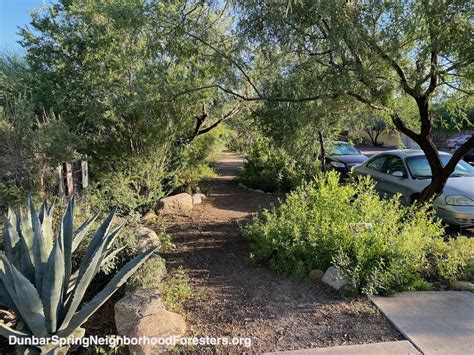 Before & after photos of green infrastructure in Dunbar/Spring – Dunbar ...