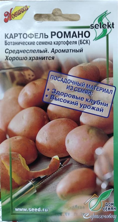 Разнообразные овощи, Картофель Дом Семян Картофель Романо, (БСК ...