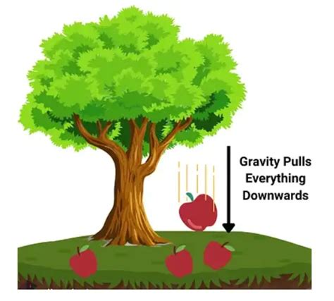 Understanding Gravity: Definition, Units, Formulas, Examples, and Applications in Physics