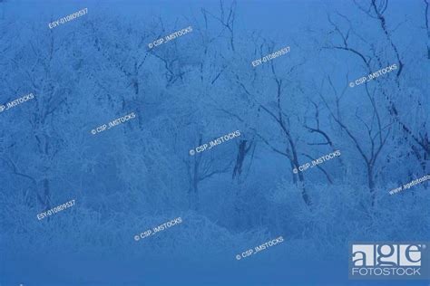 Beautiful winter landscape in south korea, Soyangriver, Stock Photo ...