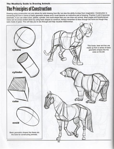 basic shapes drawing pdf - Jordon Venegas