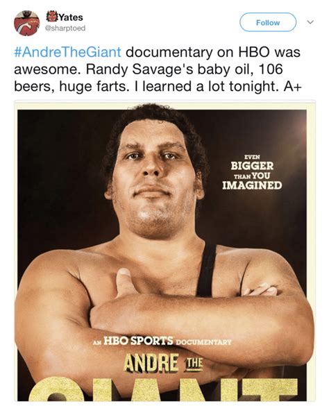 14 Larger Than Life Sized Things About Andre The Giant Ftw Gallery Ebaums World