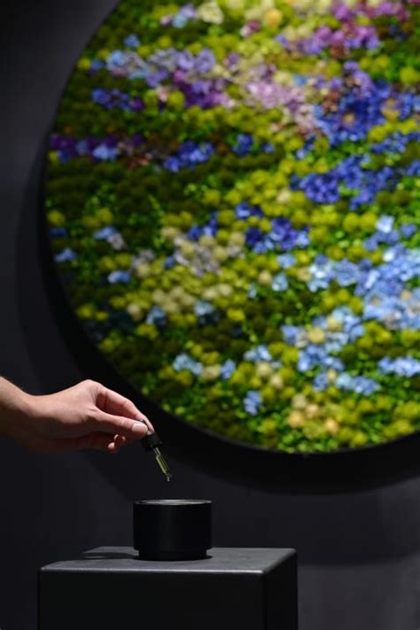 美術作家花道家の亀井紀彦による アートワーク展示ひと雫の景色が開催 AXIS Web デザインの視点で人間の可能性や創造性を