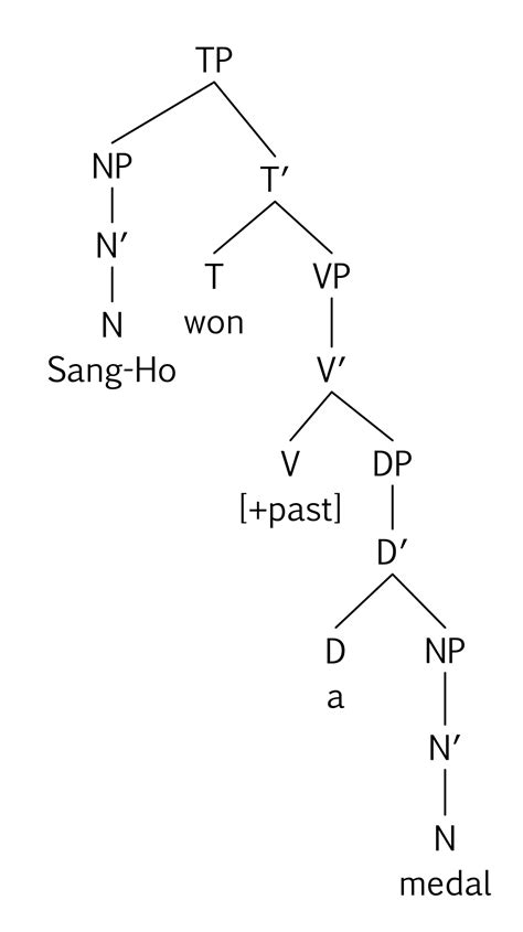 8.4 Sentences are Phrases – Essentials of Linguistics